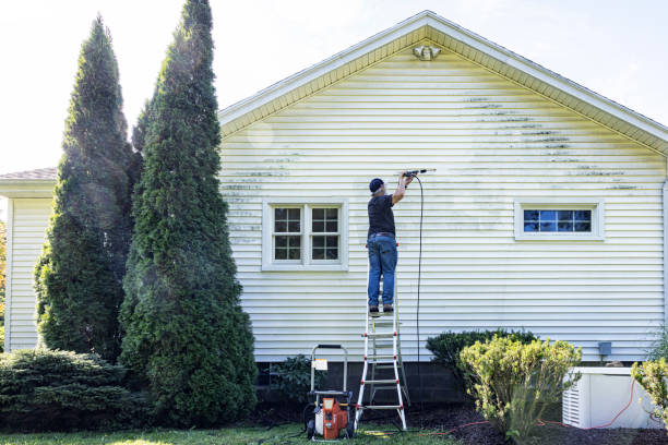 Best Affordable Power Washing  in Douglas, WY