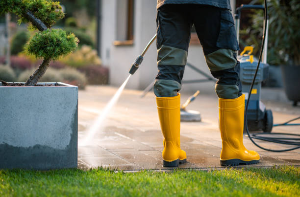Best Roof Pressure Washing  in Douglas, WY